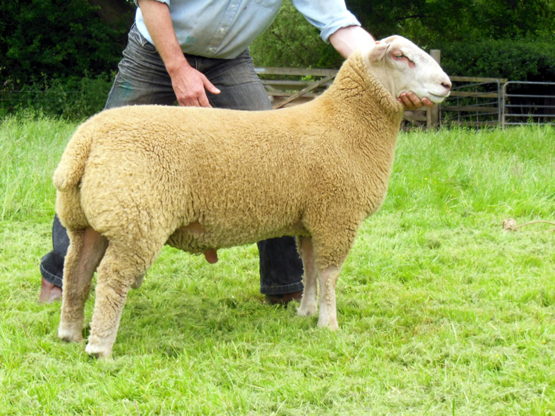 Lot 162 Edstaston Nova Scotia Lot 162 Edstaston Nova Scotia